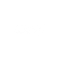 lgo BIC