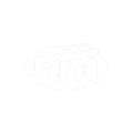 logo Fini